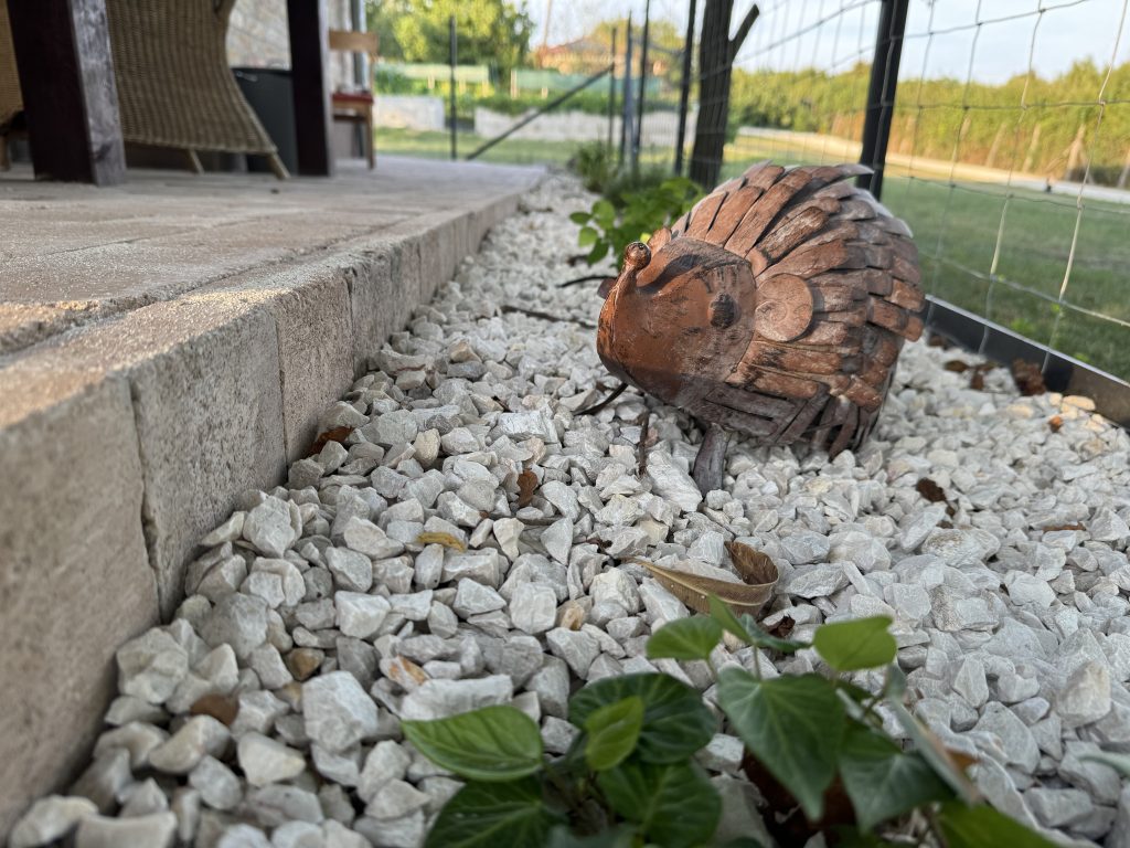 Szentendrei Öregvíz Vendégház terasz sünidísz.