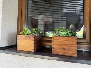 Szentendrei Öregvíz Vendégház ablakában kaspók.