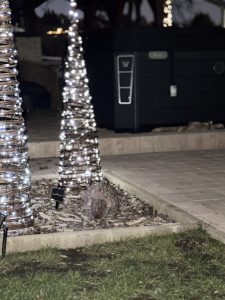 Szentendrei Öregvíz Vendégház jakuzzi a teraszon esti fényekben.