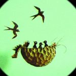 Mikrocsodák Múzeuma